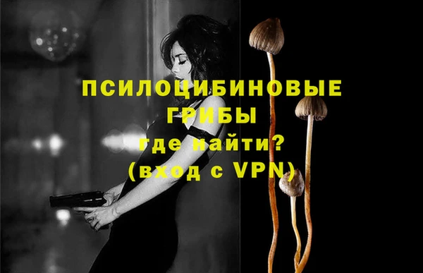 твердый Алексеевка