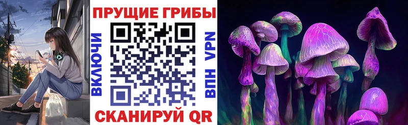 продажа наркотиков блэк спрут как войти Галлюциногенные грибы мицелий Нытва